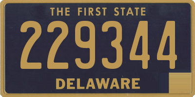 DE license plate 229344