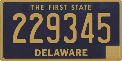 DE license plate 229345