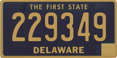 DE license plate 229349