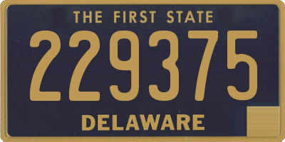 DE license plate 229375
