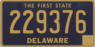 DE license plate 229376