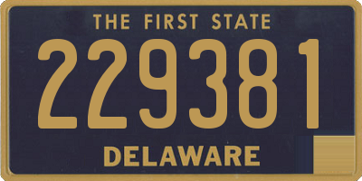 DE license plate 229381