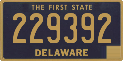 DE license plate 229392