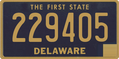 DE license plate 229405
