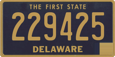 DE license plate 229425