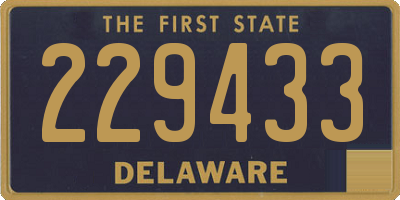 DE license plate 229433