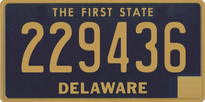 DE license plate 229436