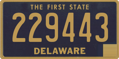 DE license plate 229443