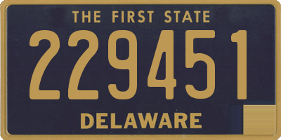 DE license plate 229451