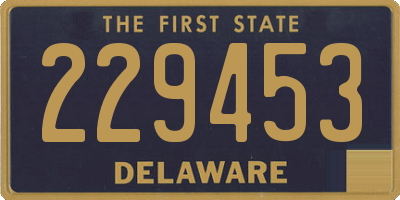 DE license plate 229453