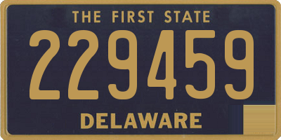 DE license plate 229459