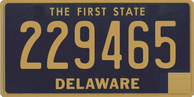 DE license plate 229465
