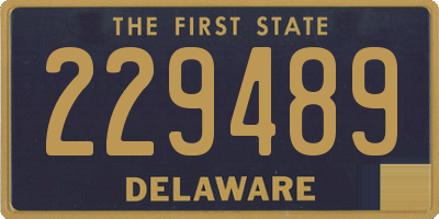 DE license plate 229489