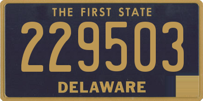 DE license plate 229503