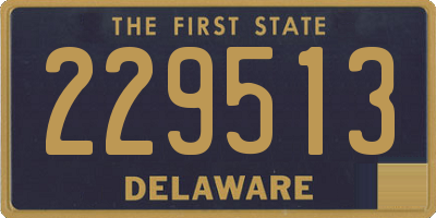 DE license plate 229513