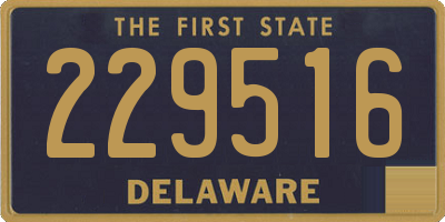 DE license plate 229516