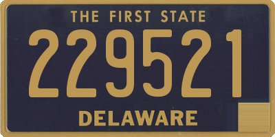 DE license plate 229521