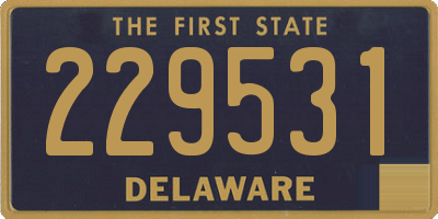 DE license plate 229531