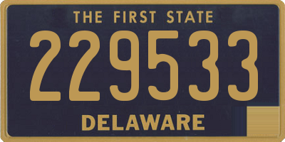 DE license plate 229533