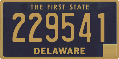 DE license plate 229541