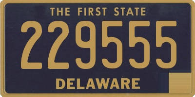 DE license plate 229555