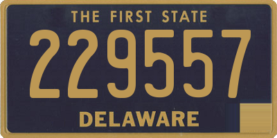 DE license plate 229557