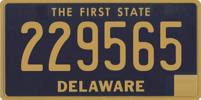 DE license plate 229565