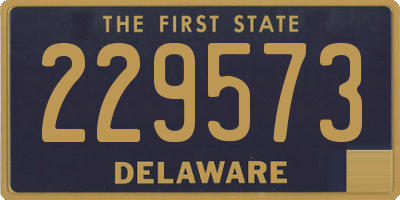 DE license plate 229573