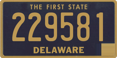 DE license plate 229581