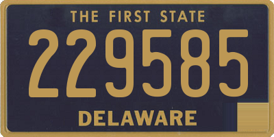 DE license plate 229585