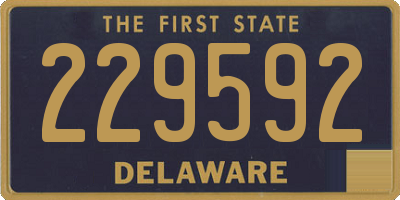 DE license plate 229592