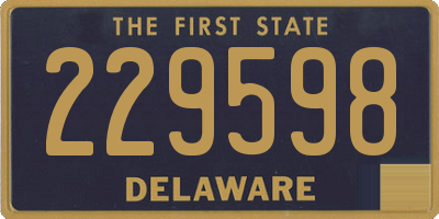 DE license plate 229598