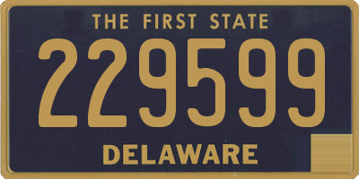 DE license plate 229599