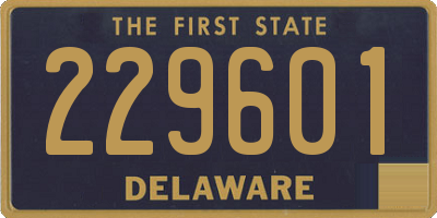 DE license plate 229601
