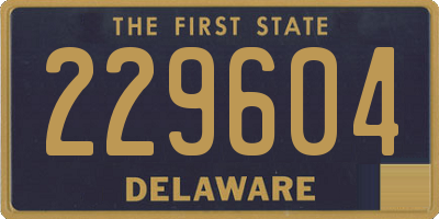 DE license plate 229604