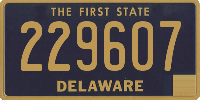 DE license plate 229607