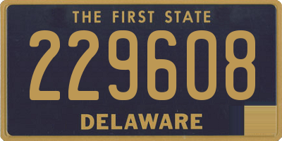 DE license plate 229608
