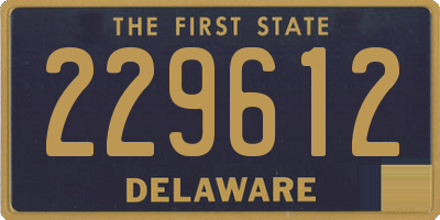 DE license plate 229612