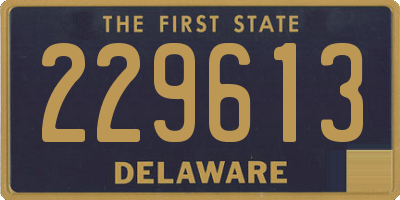 DE license plate 229613