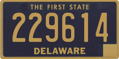 DE license plate 229614