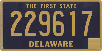 DE license plate 229617