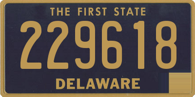 DE license plate 229618