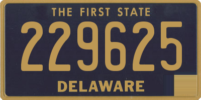 DE license plate 229625