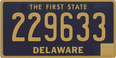 DE license plate 229633