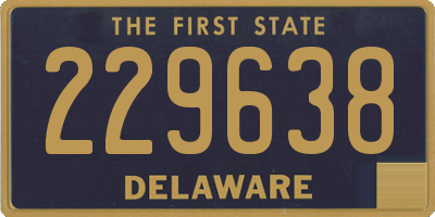 DE license plate 229638