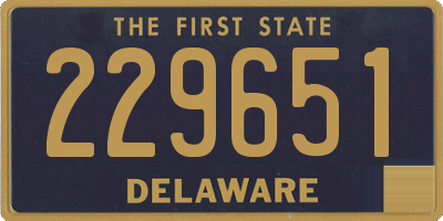 DE license plate 229651