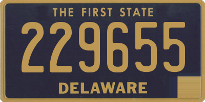 DE license plate 229655