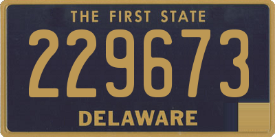 DE license plate 229673