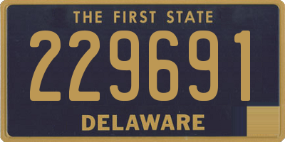 DE license plate 229691