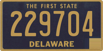 DE license plate 229704